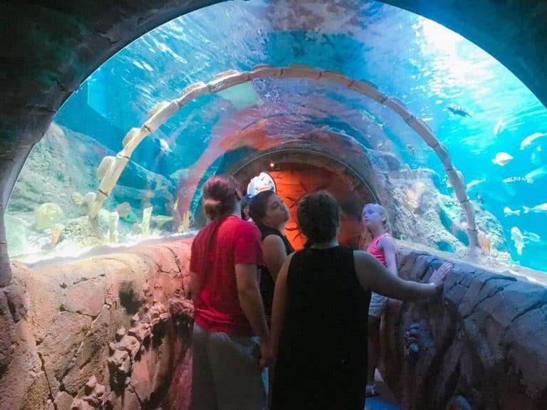 SEA LIFE Kansas City - Hallmark Visitor Center - - Things to Do in
