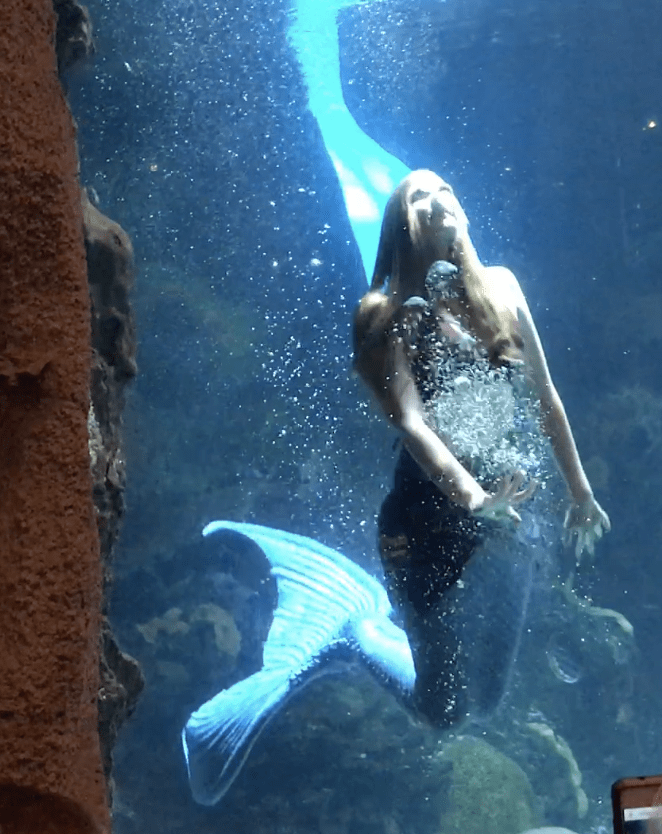 See real mermaids at the Downtown Aquarium in Denver ...