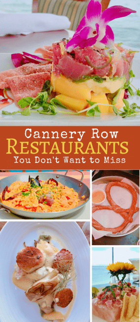 Monterey, CA should be on your family travel bucket list. There are so many great attractions from historic Cannery Row to the Monterey Bay Aquarium. When you go, here are my picks for the best Cannery Row restaurants that you will want to check out.
