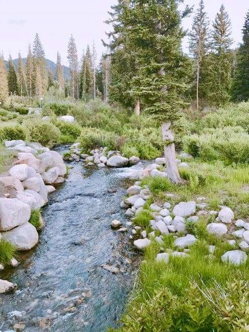 A creek during Summer at Solitude Mountain