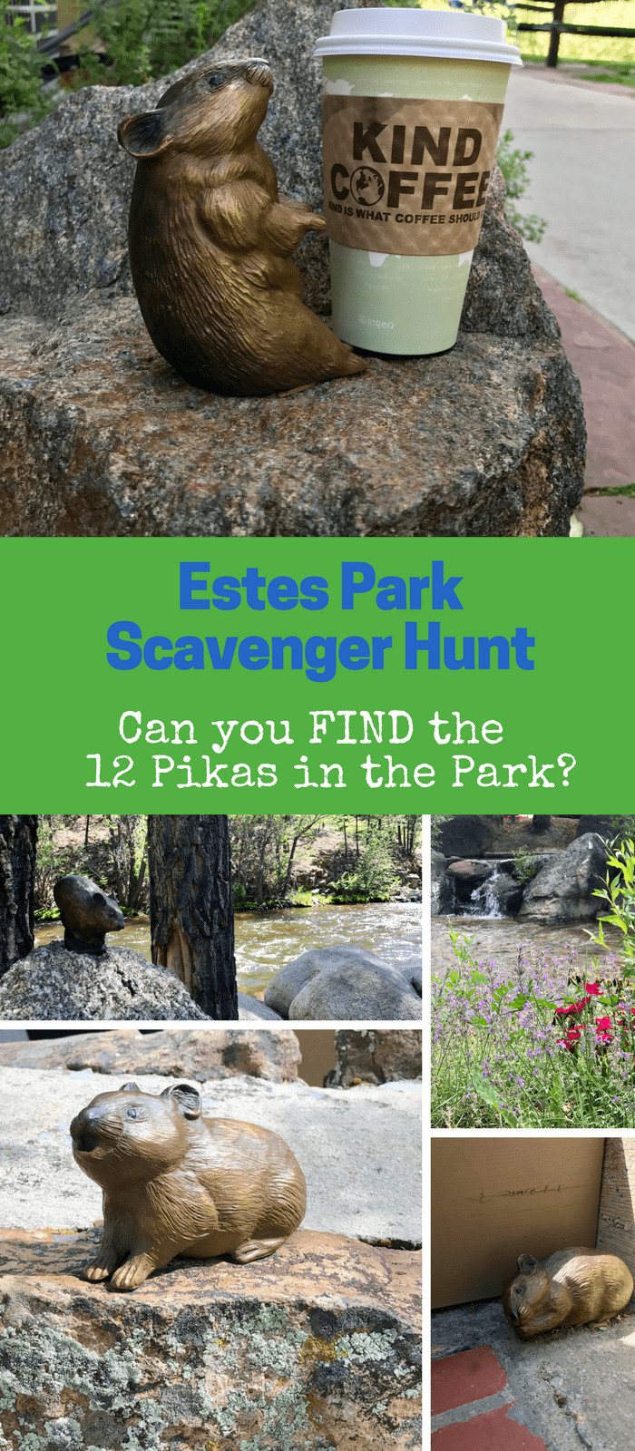 Pikas in the Park is a scavenger hunt in Estes Park, Colorado. Follow the clues to find 12 pika statutes and great local finds 