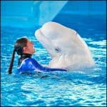 SeaWorld San Antonio - Making the Most of your Time