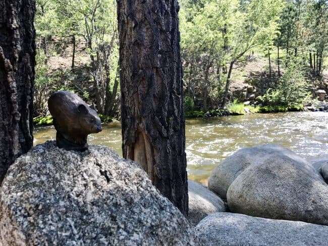 Pikas in the Park is a scavenger hunt in Estes Park, Colorado. Follow the clues to find 12 pika statutes and great local finds 