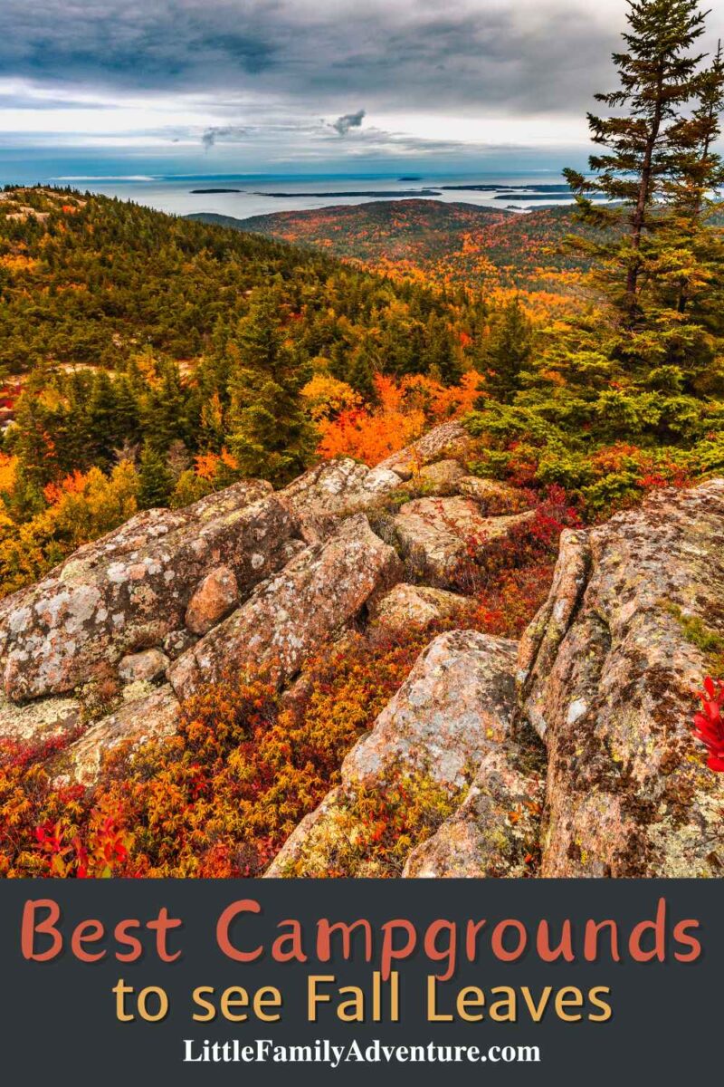 acadia national park cadillac mountain with fall leaves