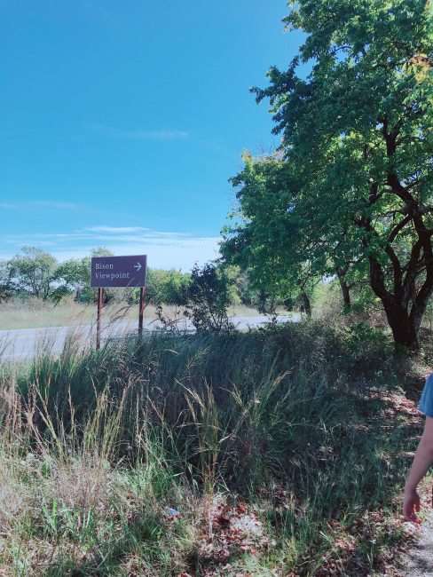 bison lookout sign along road