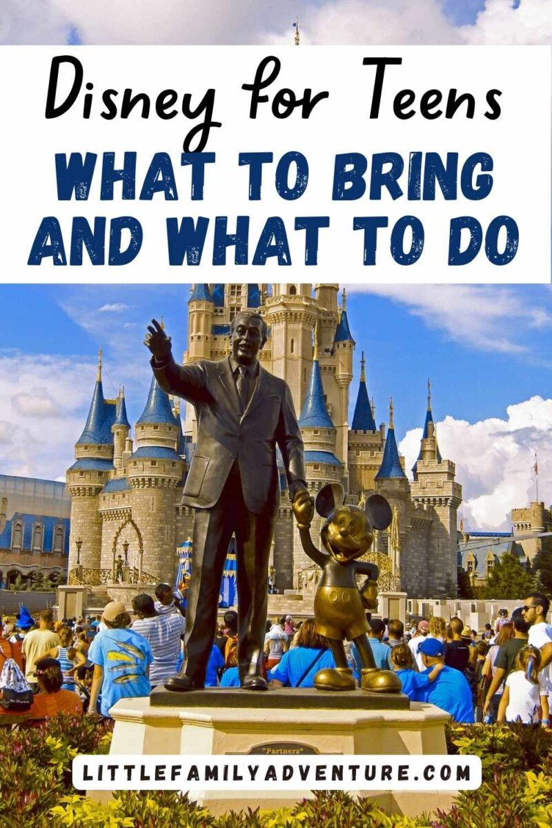 statue of walt disney and mickey in front of magic kingdom