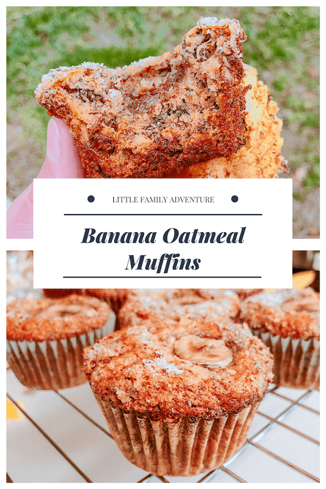 Banana Oatmeal Muffins (Vegan)