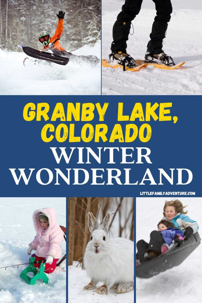 Pinterest collage with snowmobile, skier, ice fishing, white rabbit, and sledding for winter activities in Granby Colorado