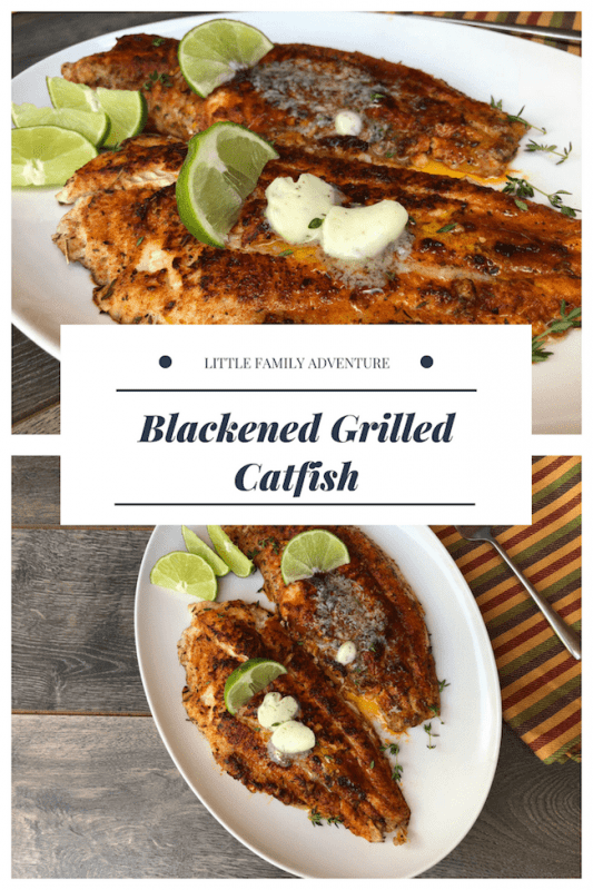 Blackened Grilled Catfish Recipe