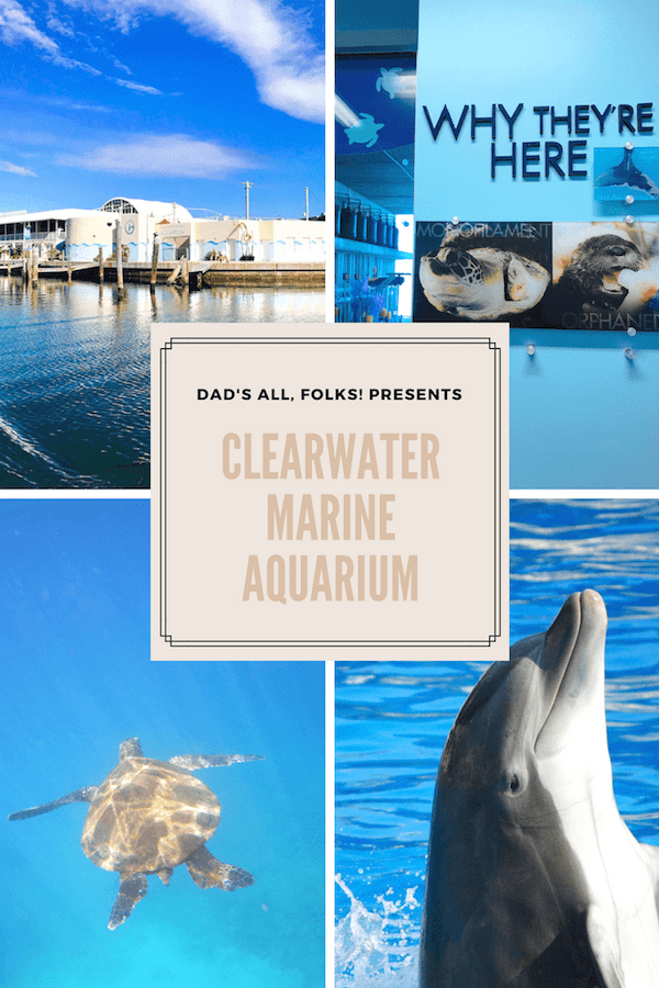 Spend the Day at Clearwater Marine Aquarium