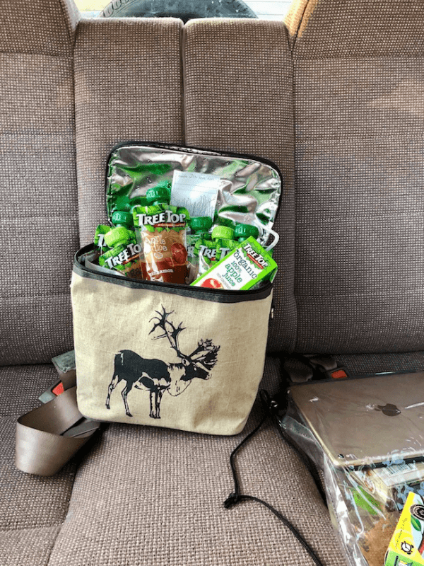 25 Family Road Trip Essentials Help With What to Pack for a Road Trip