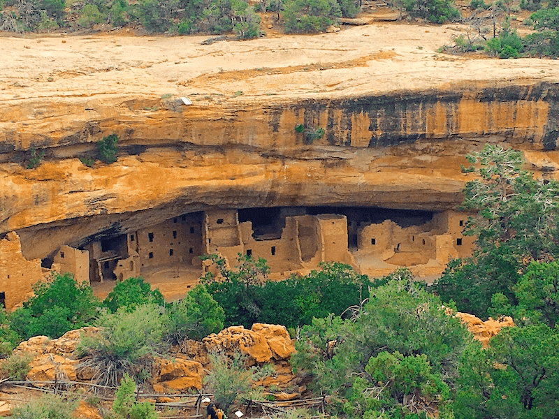 are dogs allowed in mesa verde national park