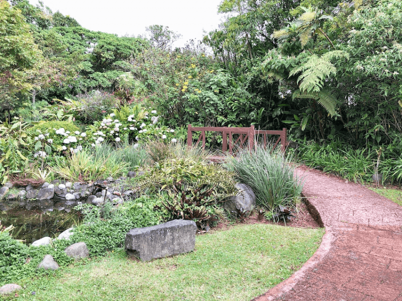 Nature Walk in Costa Rica