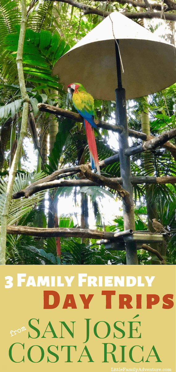 Many visitors to Costa Rica start with San Jose. Here are three family friendly day trips from the capital city that show you Costa Rican animals, traditional food, the cloud forest, and the tropical rain forests.