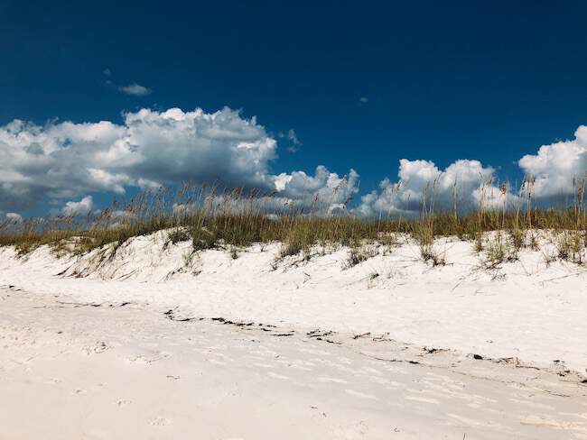 5 Reasons Why You Should Visit Shell Island Panama City Beach