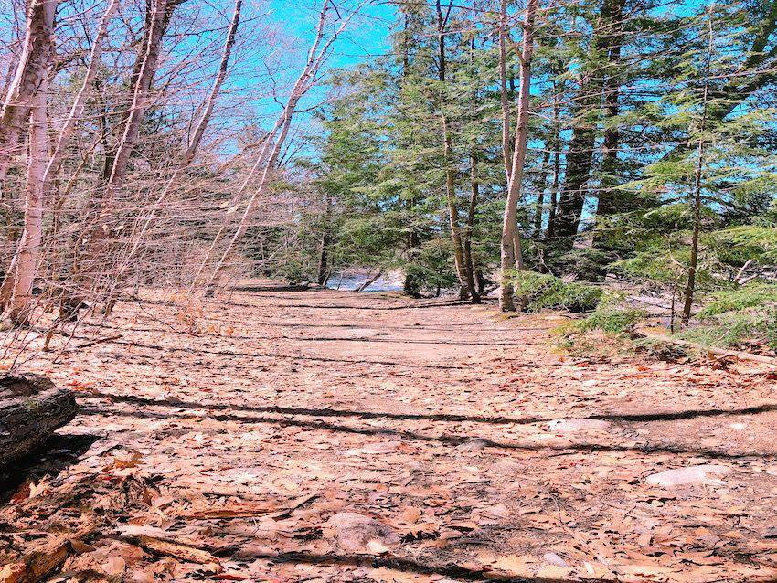 lincoln new hampshire bike trails