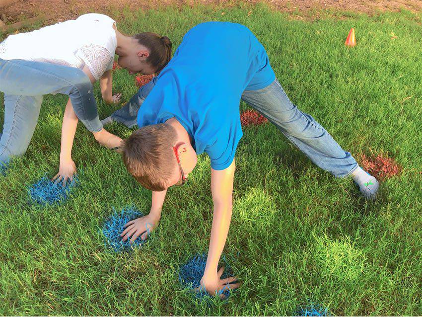 Twister - Outdoor Games - Family Games