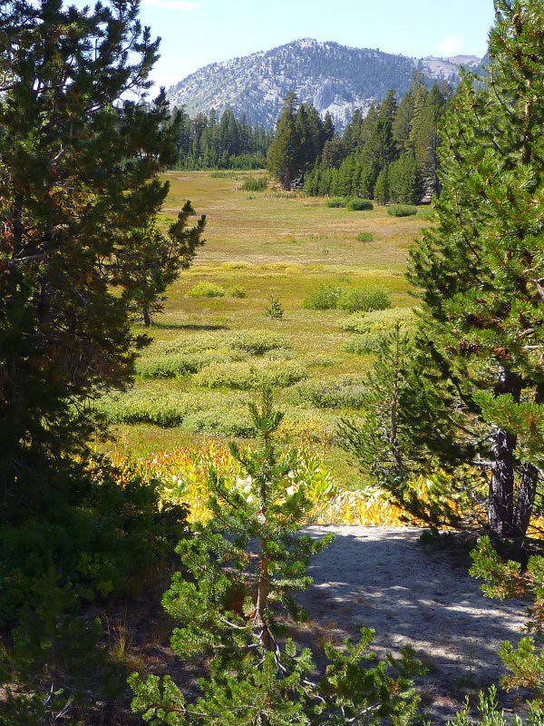 North Lake Tahoe Hiking Trails - Meadows Interpretive Trail