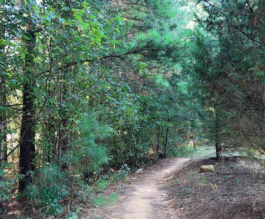 Mazeppa park mountain online bike trail