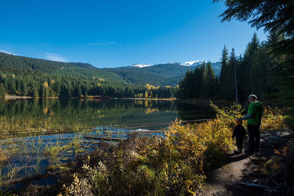 Grandfather and boy looking out onto Lost Lake, Whistler BC