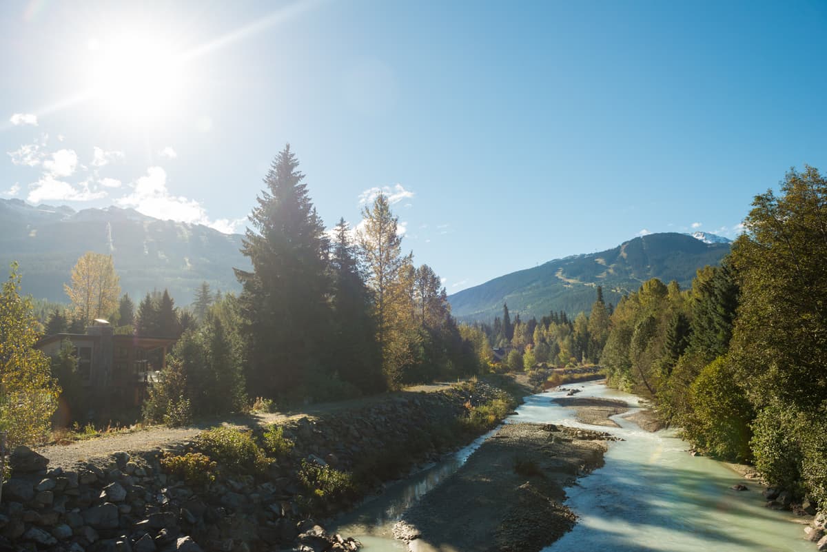 river of golden dreams, mountains, trees