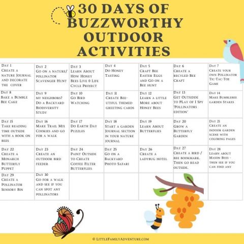 outdoor activity calendar