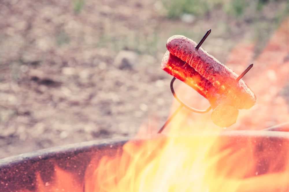 hot dogs on a roasting stick in a campfire