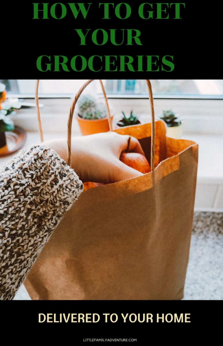 grocery bag with hand reaching in
