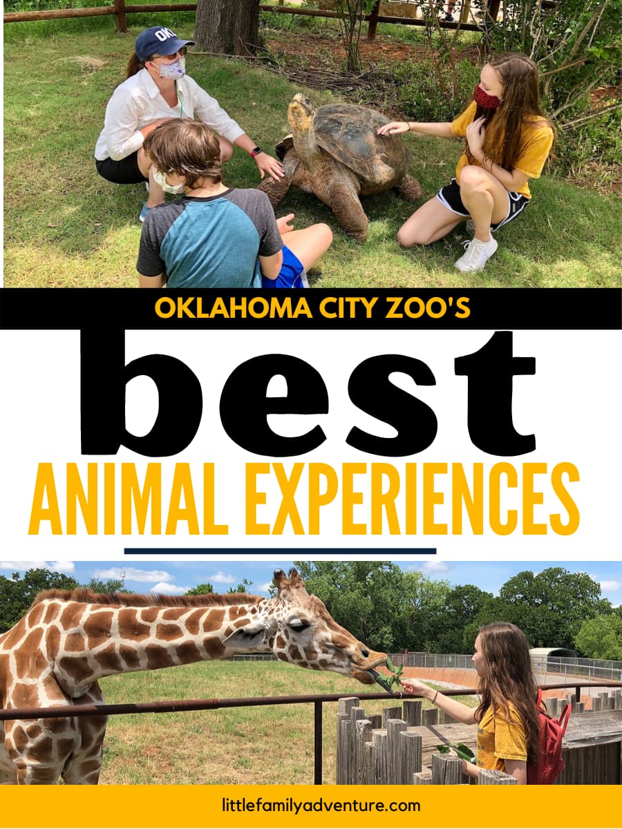 best animal experiences graphic at the OKC Zoo