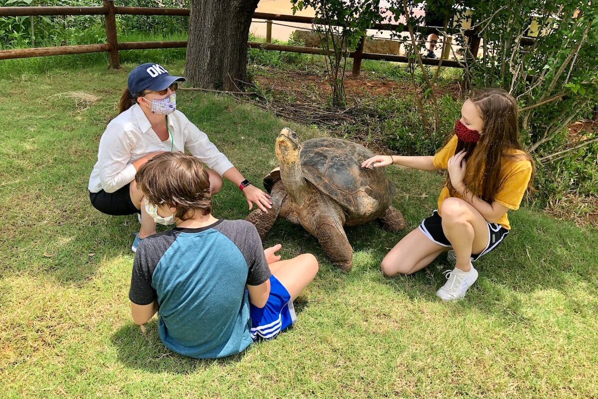 woman and teens petting a tortoise