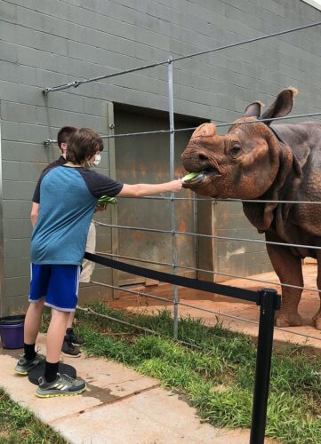 Go Wild With These 6 OKC Zoo Animal Experiences