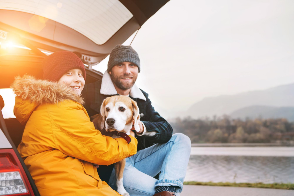 Planning Safe Family Road Trips with Pets A Complete Checklist