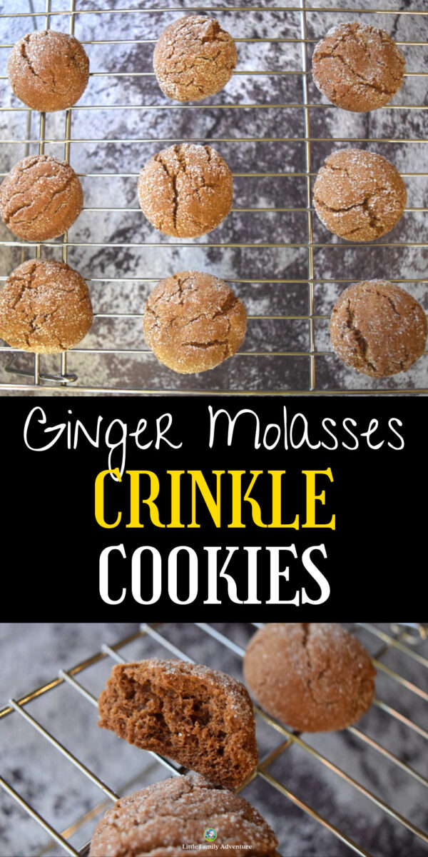 Soft Gingerbread Crinkle Cookies with Ginger & Molasses