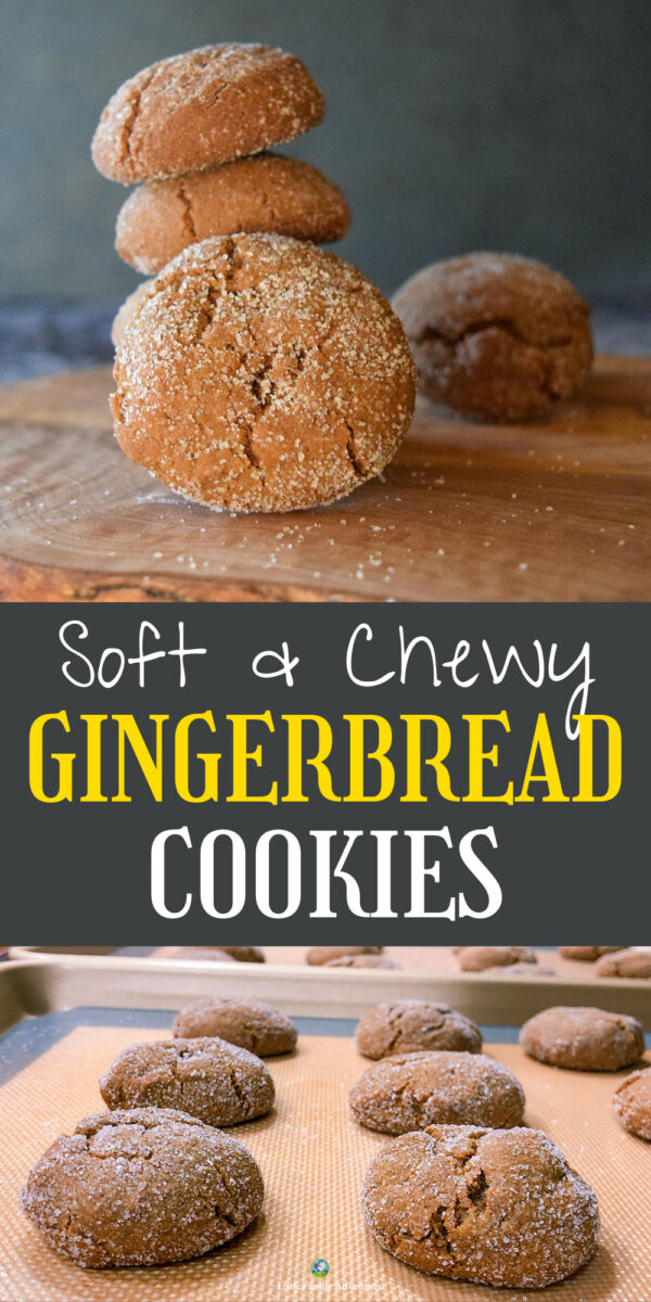 soft gingerbread cookies