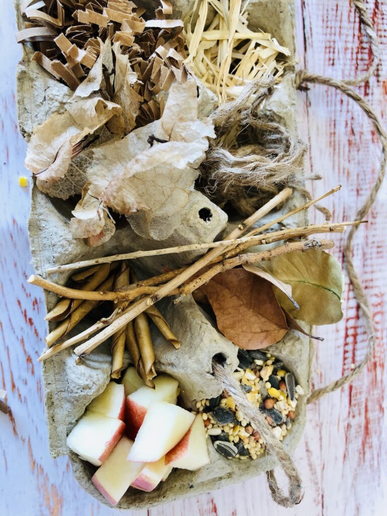 How to Make an Egg Carton bird feeder and Nesting Station with Your kids