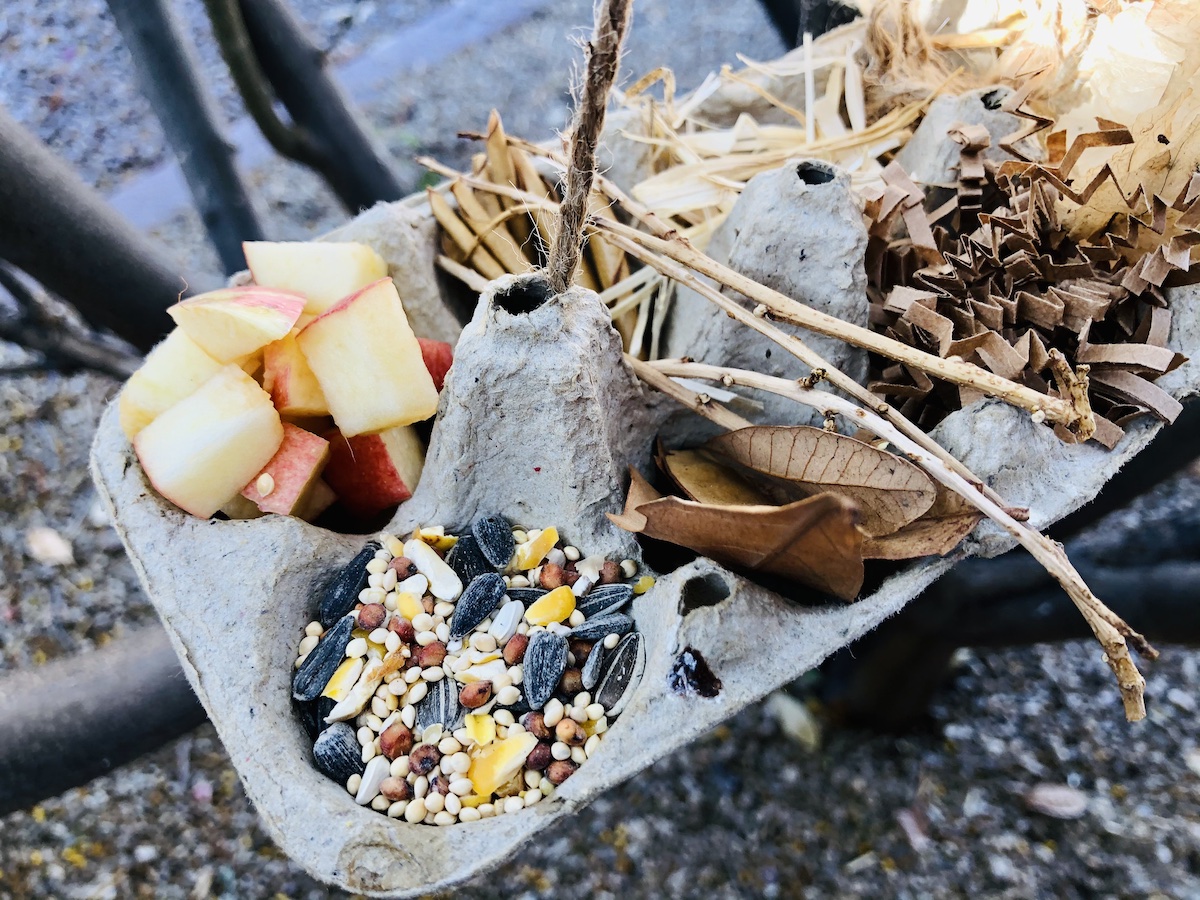 Close up Recycled Bird Feeder with seed and nesting material