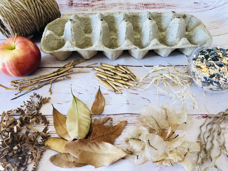 How to Make an Egg Carton bird feeder and Nesting Station with Your kids