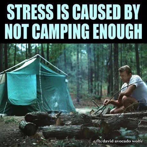 Funny Camping Memes