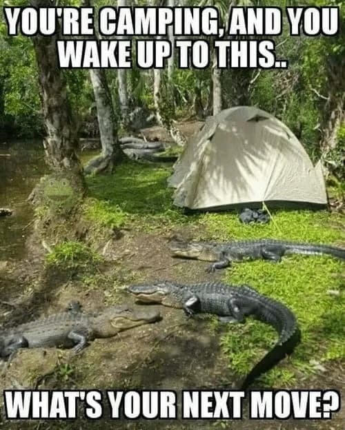 50 Funny Camping Memes to Make to Giggle & Inspire To Go Outside.