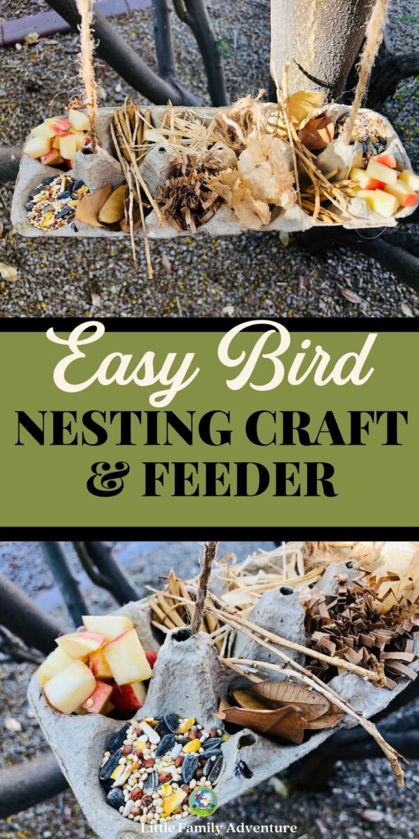 bird nesting craft