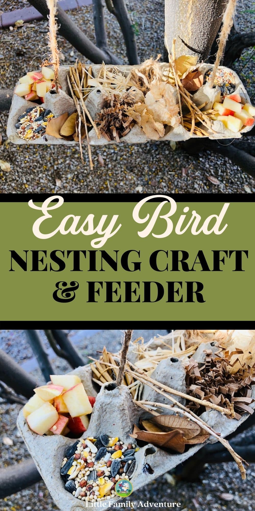 How to Make an Egg Carton bird feeder and Nesting Station with Your kids