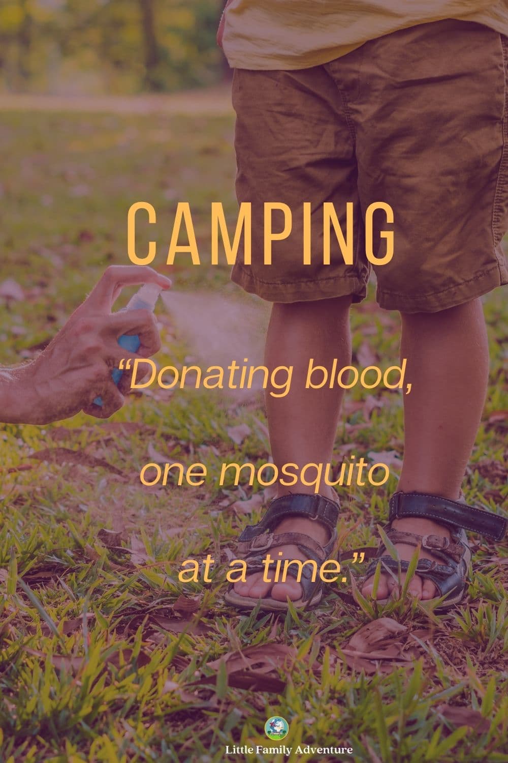 https://littlefamilyadventure.com/wp-content/uploads/2021/02/funny-Camping-Quote-about-mosquitos-2.jpg