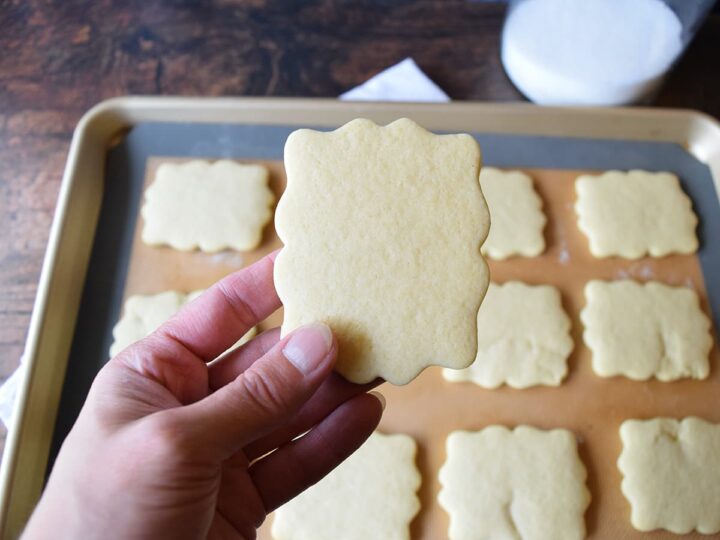 hand holding sugar cookie