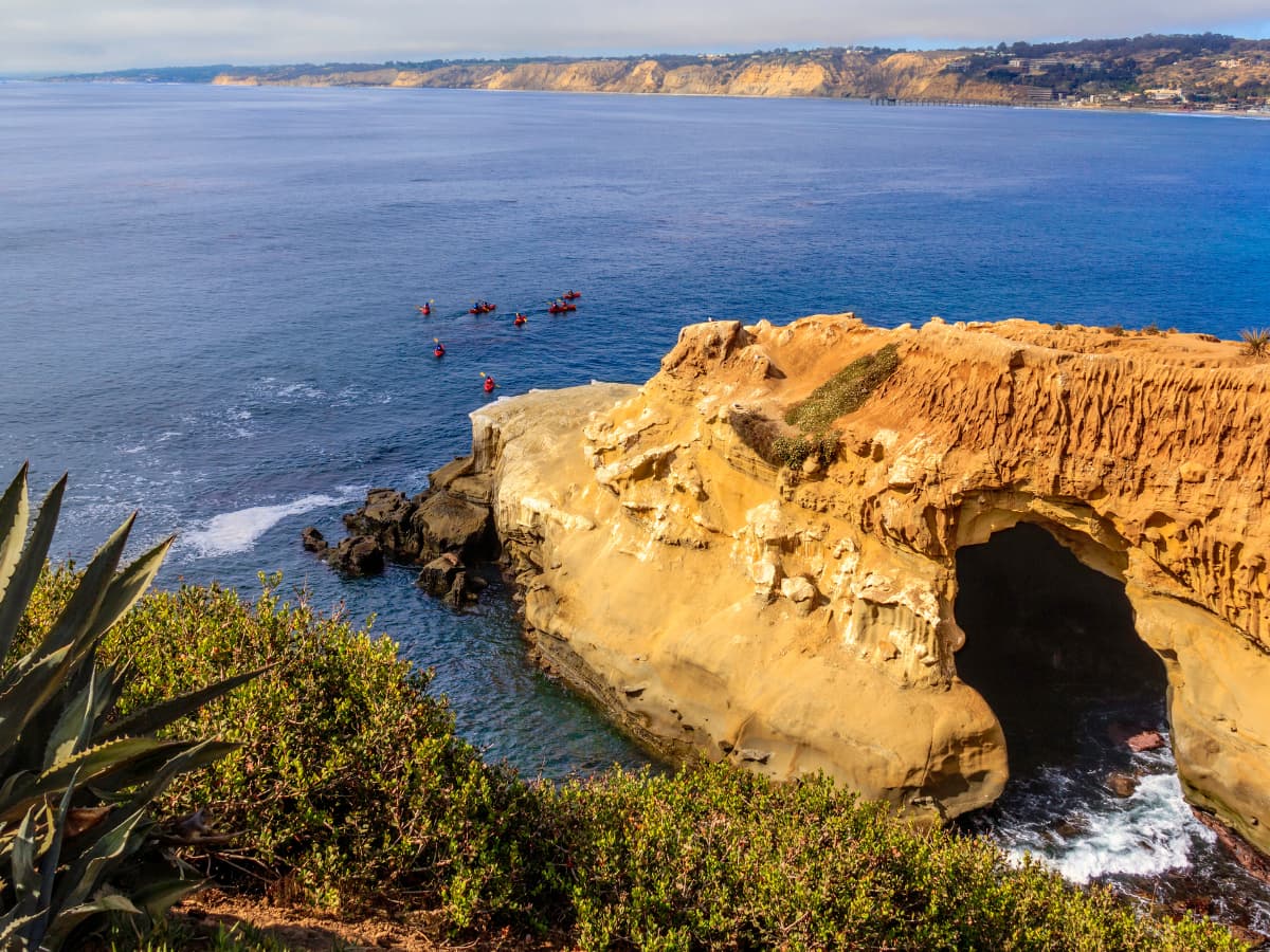 la jolla sea caves tour san diego