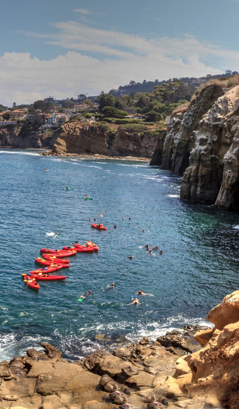 La Jolla Sea Caves Ultimate Guide for Visitors