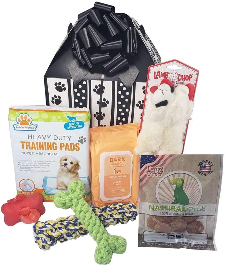 16 Essential Gifts for New Puppy Owners That Any Dog Would