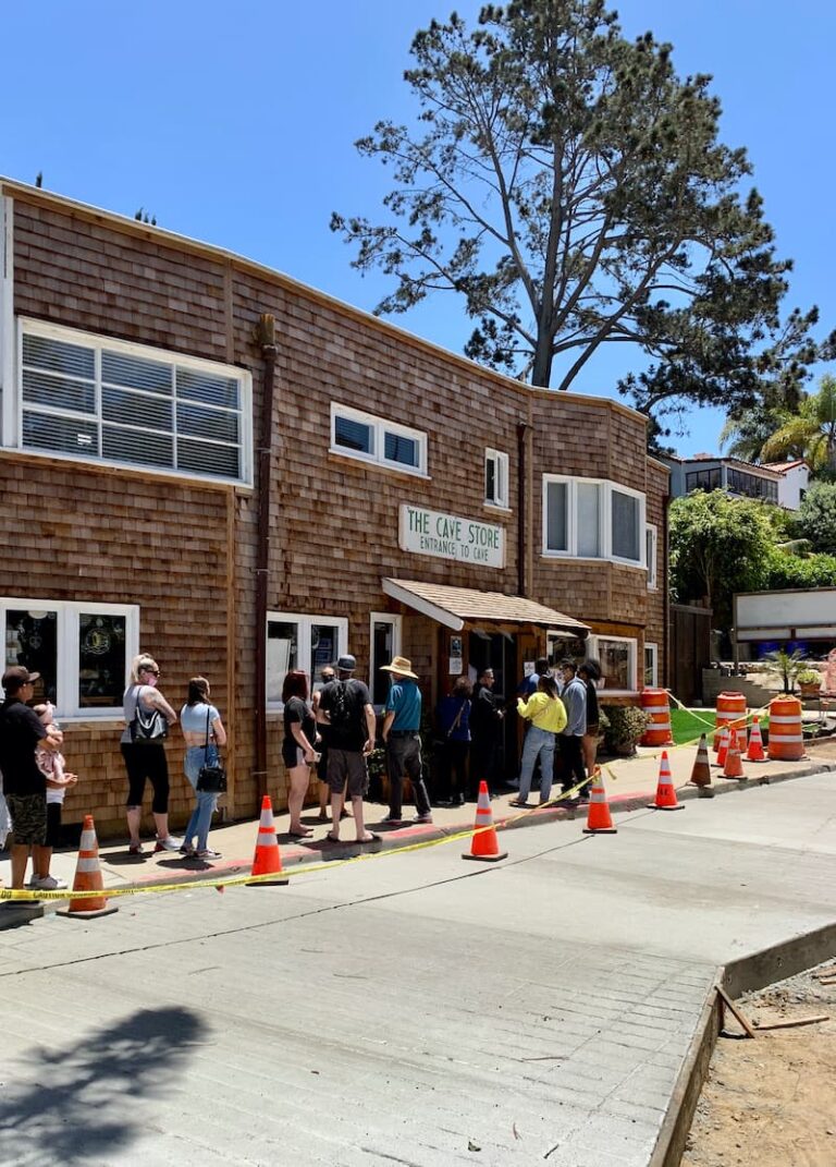 La Jolla Sea Caves Ultimate Guide for Visitors