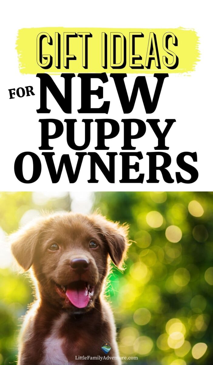 Gift ideas for shop new dog owners