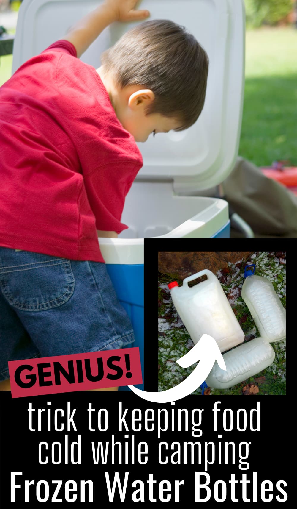 How to Keep Food Cold When Camping 10 Tips for Car Campers