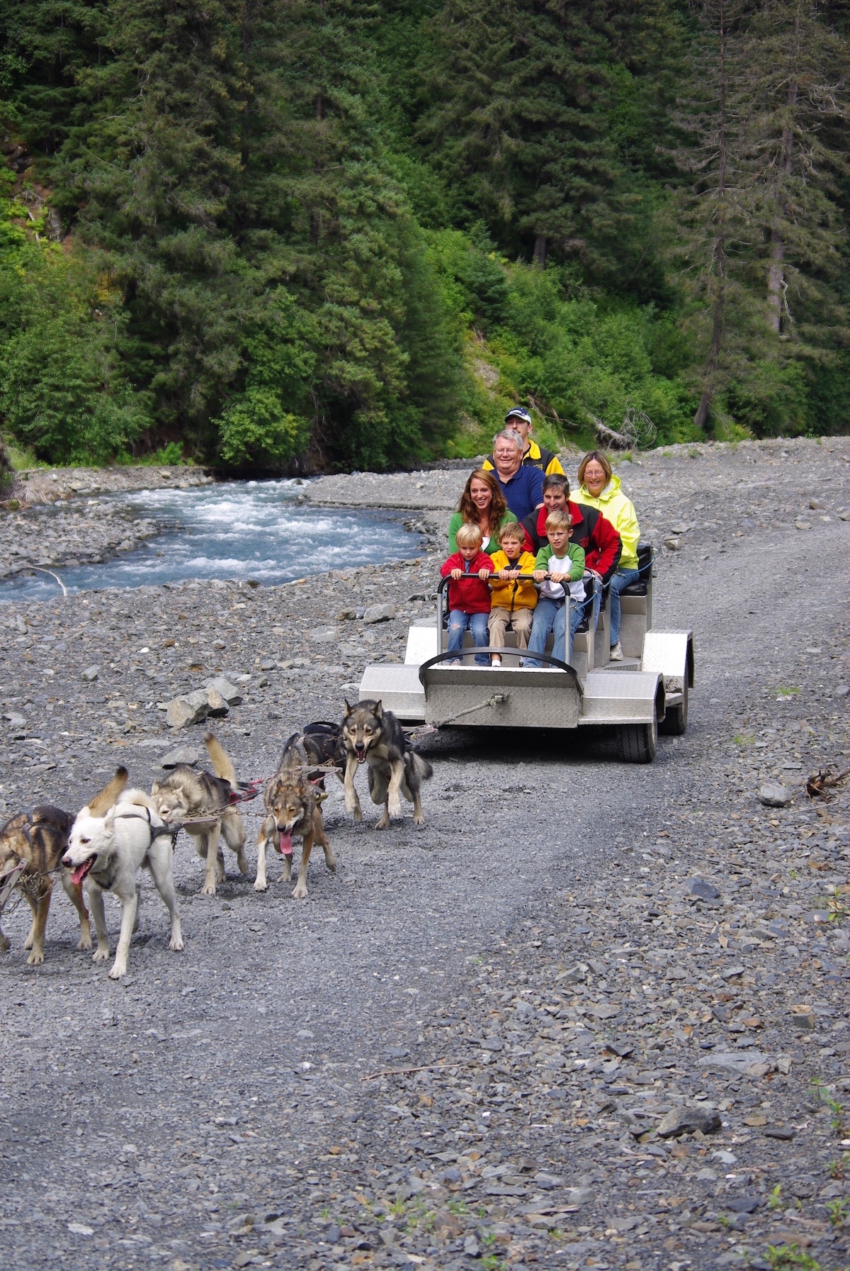 summer dog sled cart with family